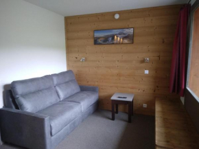 Studio divisible rénové, 4 pers, accès direct pistes, animaux admis - FR-1-181-2385